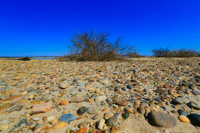 Honeyview_image039.jpg Honeyview_image039.jpg